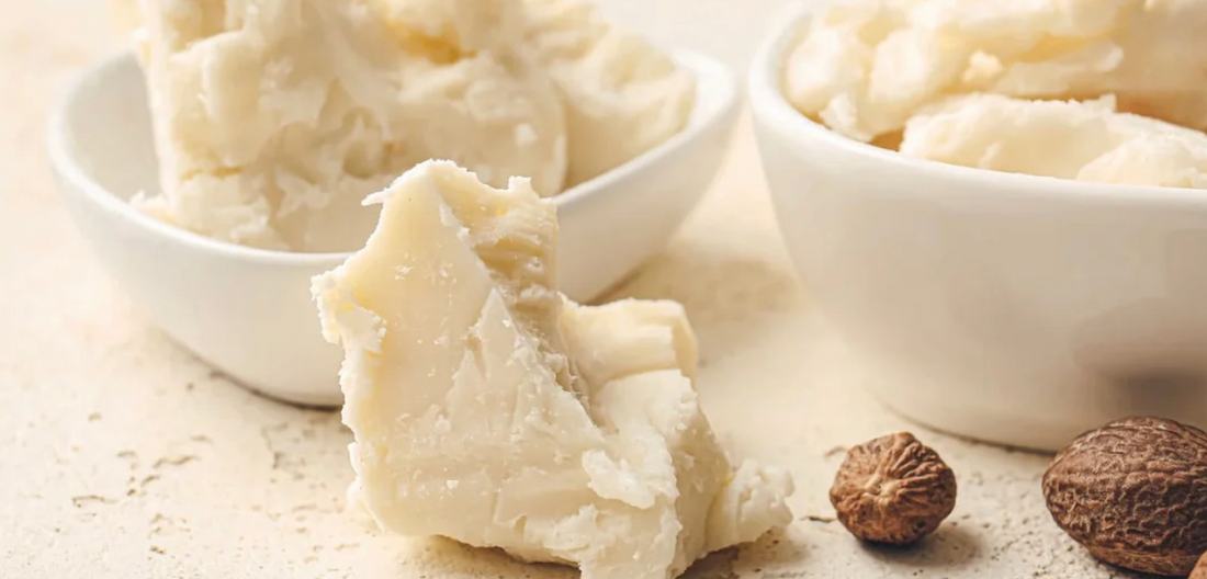 Tallow vs Shea Butter for Eczema - Lustrea Skincare